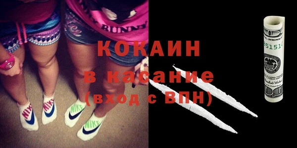 гашик Дмитров