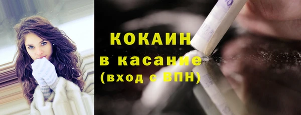 меф Дмитриев