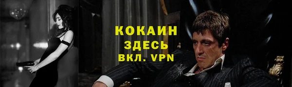 гашик Дмитров