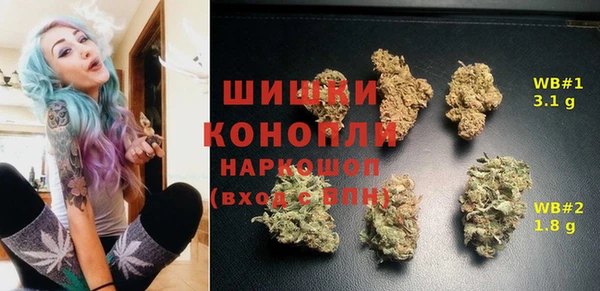 меф Дмитриев
