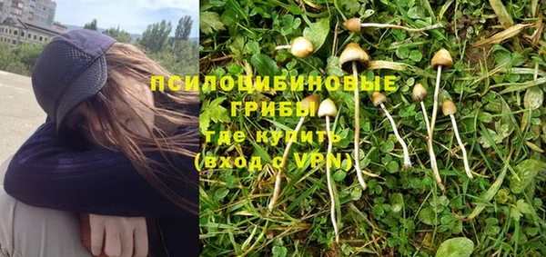 гашик Дмитровск