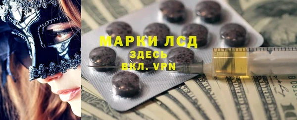гашик Дмитров