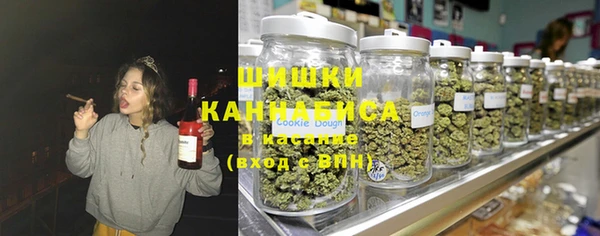 гашик Дмитровск