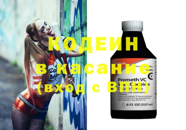 гашик Дмитров