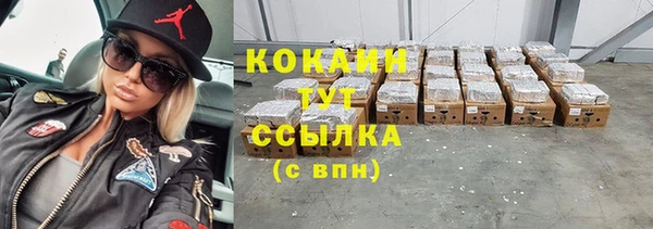 гашик Дмитровск