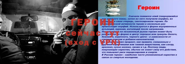 гашик Дмитровск