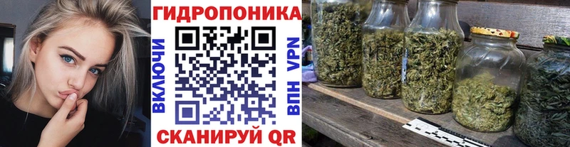 маркетплейс официальный сайт  магазин    Тетюши  Бошки Шишки индика 